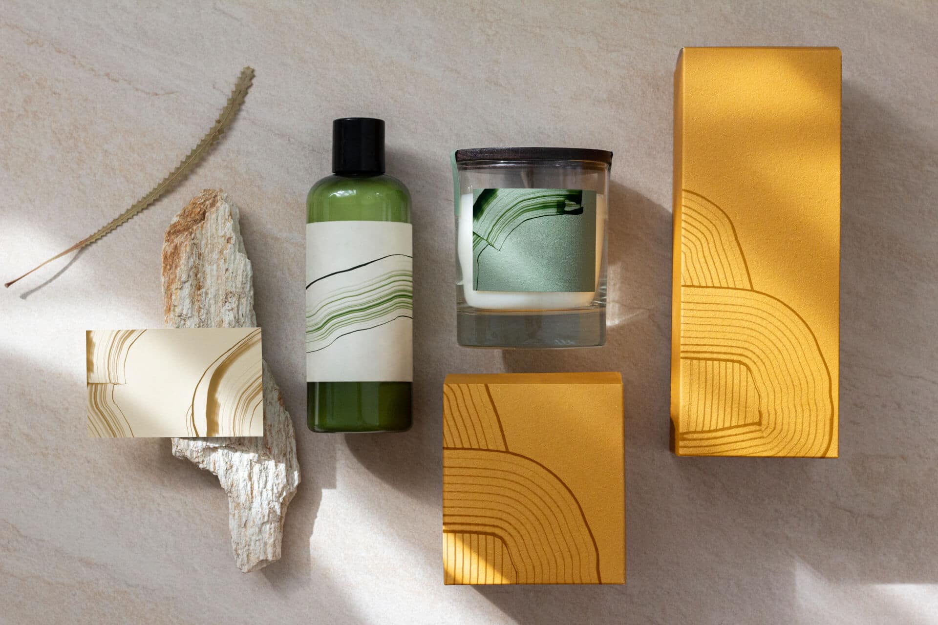Wright & Bailey Collection