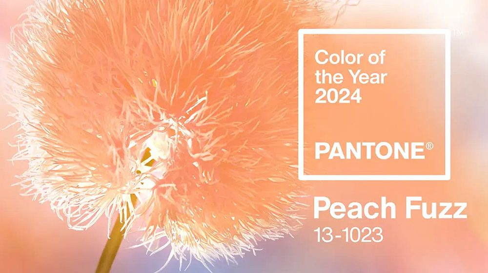 Pantone colour of the year 2024