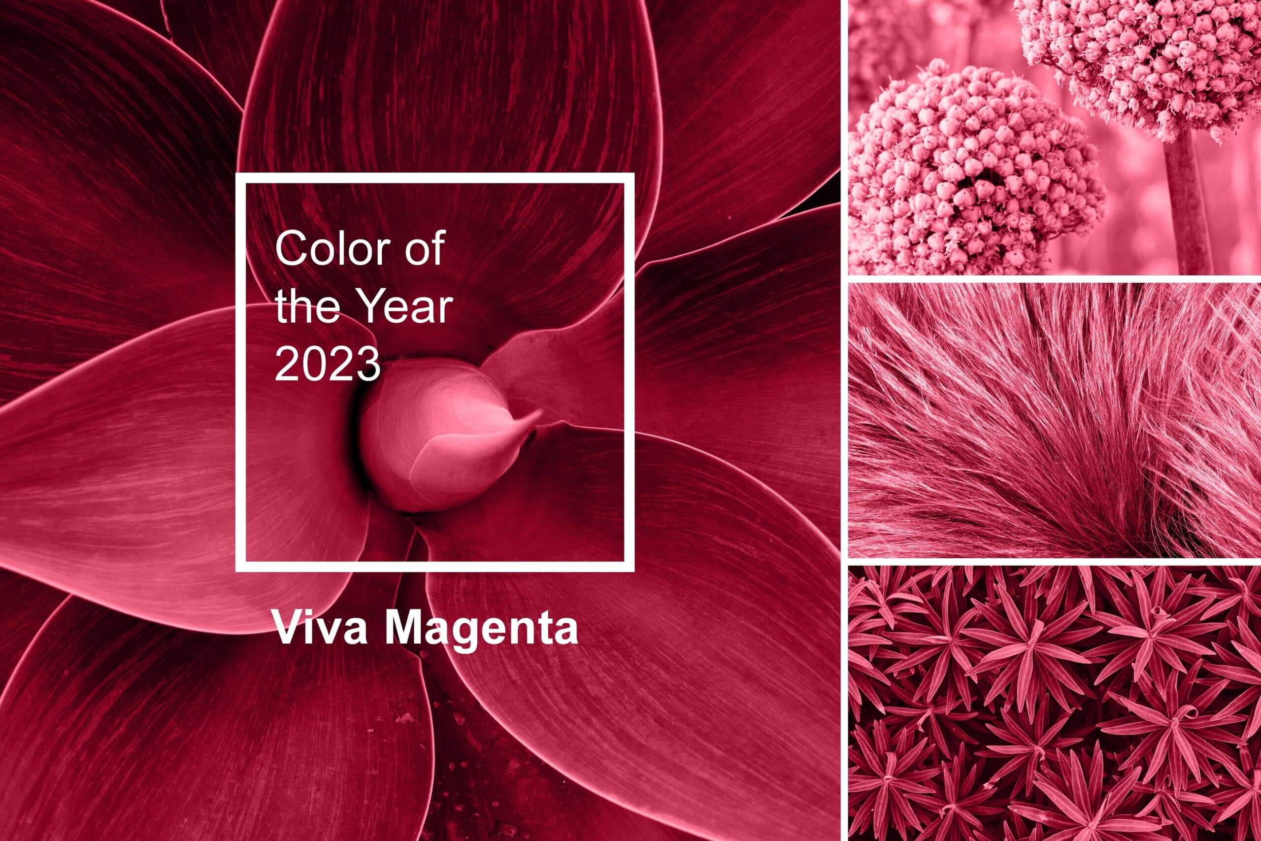 Colour of the year 2023